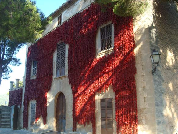 Fachada Tap de Cortí