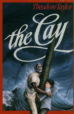 The Cay cover.jpg