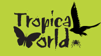 Tropical World Logo 2020.jpg