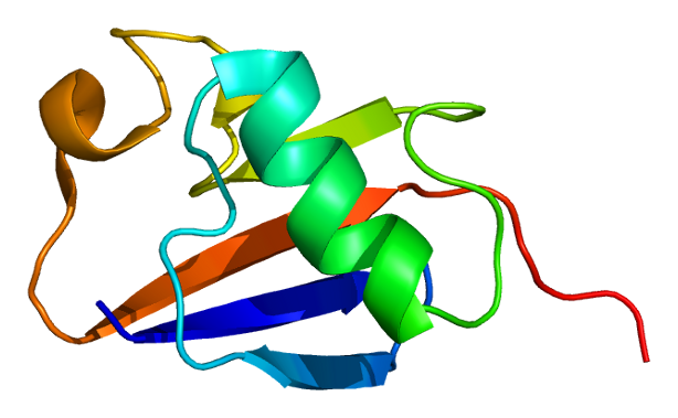 Protein PARK2 PDB 1iyf