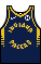 Kit body indianapacers icon.png