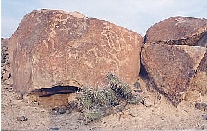 Tacna miculla petroglifos