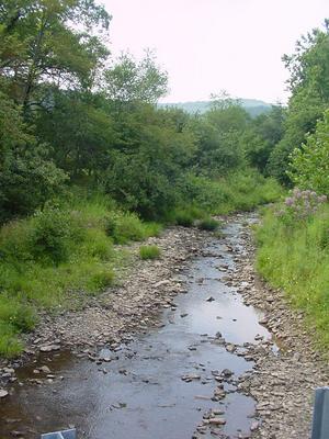 Grassy Lick Run Kirby WV 2004