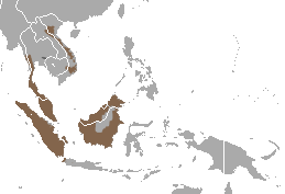 Sunda Flying Lemur area.png