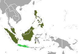 Malayan Civet area.png