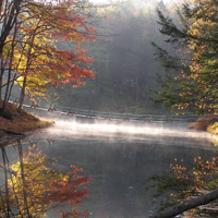 A rope pedestrian bridge over water between two areas with trees showing autumn color