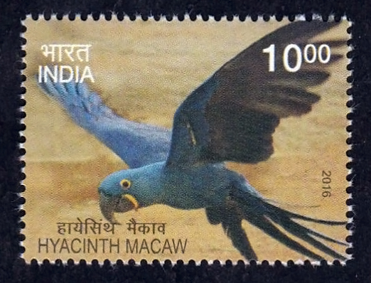 India Post 2016 Hyacinth macaw 10r