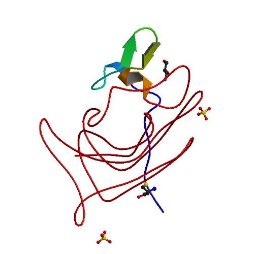 PBB Protein F8 image