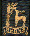 Royal Berkshire Scout County (The Scout Association)