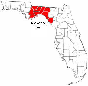 BigbendFla