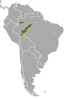 White-lipped Tamarin area.png