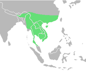 Distribución Trimeresurus albolabris2.png