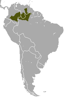 Black Titi area.png