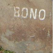Bono rock