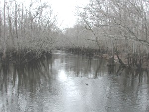 Lynches River Johonsonville Winter.jpg
