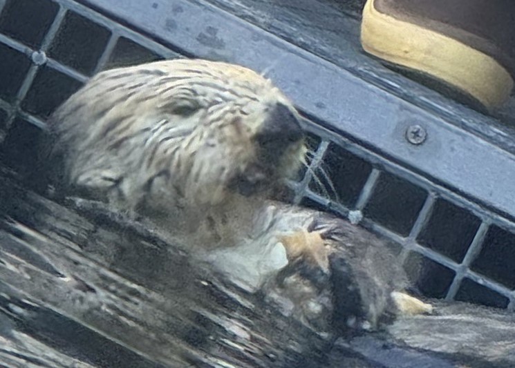 Rosa 10 28 2023 MBA keeper cropped