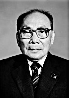 Picture of Vo Chi Cong.jpeg