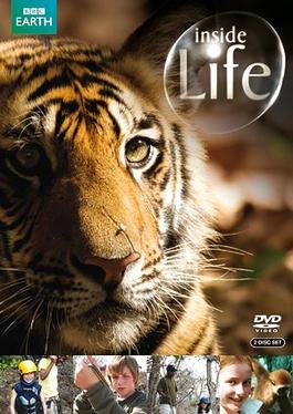 Inside Life DVD cover