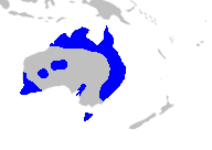 Map-Xanthorhoeaceae.PNG