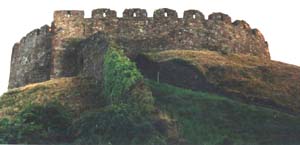 Totnes castle