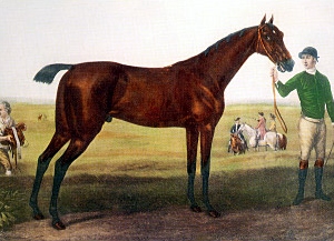 Herod (horse)