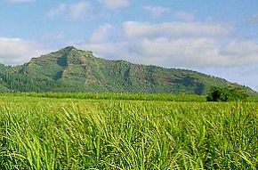 SleepingGiant