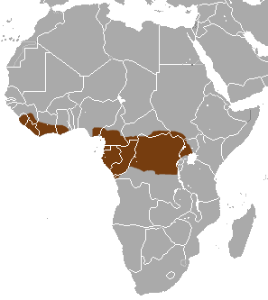 Western Tree Hyrax area.png