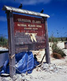 Lisianski Island Reserve Sign