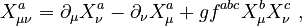 X^{a}_{\mu\nu} = \partial_\mu X^{a}_\nu - \partial_\nu X^{a}_\mu + g f^{abc}X^{b}_{\mu}X^{c}_{\nu} ~,