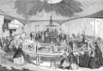 1859 AquarialGardens Boston