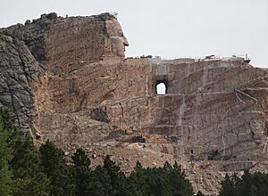 2020CrazyHorse