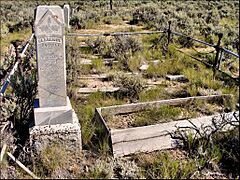 43366 Bannack Cemetery Family Enclosures (3910222981)