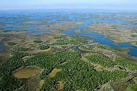 Aerial of Chassahowitzka National Wildlife Refuge (7597338986).jpg