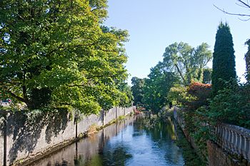 Athenry Clareen River 2009 09 13.jpg