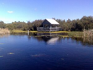 Atwell harvest wetland