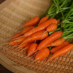 Baby Carrots 2