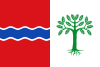 Flag of Fuentelencina, Spain