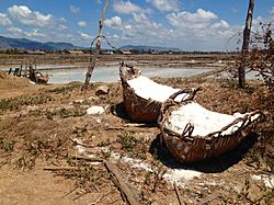 Baskets of Kampot sea salt