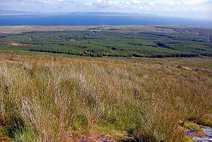Rinns of Islay Facts for Kids