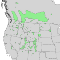 Betula occidentalis range map 1