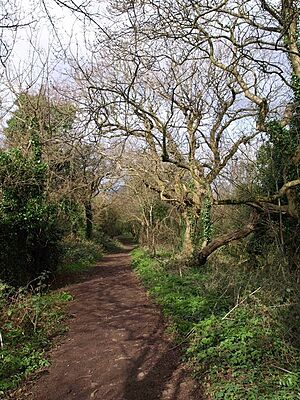Broad Walk (geograph 1783598)