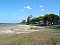 Cabbage Tree Point foreshore