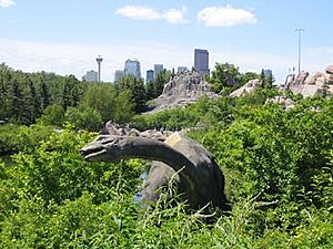 Calgary Zoo Pre