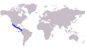 Caranx caninus distribution