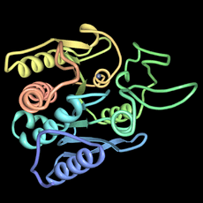 Carboxypeptidase-a-pdb-5CPA