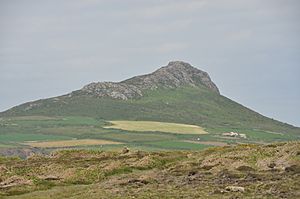 Carn Llidi (8397)