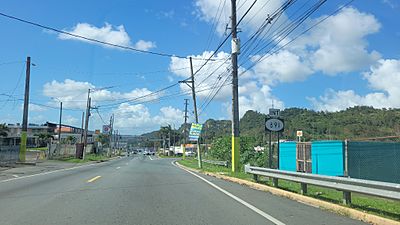 Carretera PR-159, intersección con la carretera PR-891, Corozal, Puerto Rico (1)