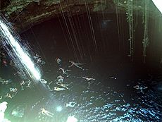 Cenote swimming