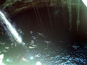 Cenote swimming