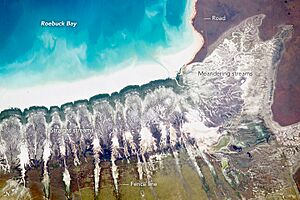 Compelling Coastline along Roebuck Bay, OZ